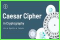 Unveiling The Origins Of The Caesar-Su Surname: Discoveries And Insights